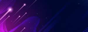 wesellhost